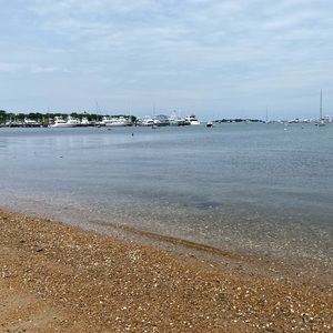 Meet your Posher, Margo